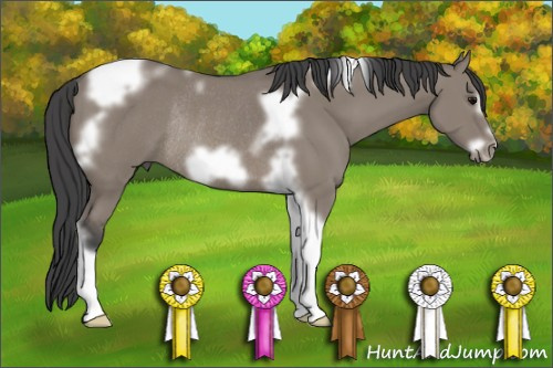 Horse Color: Grullo Tobiano Frame Rabicano 