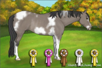 Horse Color:Grullo Tobiano Frame Rabicano