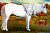 Horse Color:Brown Splash Blanket 