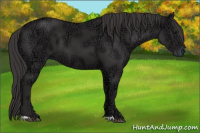 Horse Color:Buckskin Ice 