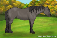 Horse Color:Smoky Grullo Rabicano