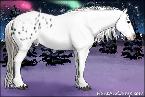 Horse Color: White Spotted Black Splash Tobiano Frame Blanket Rabicano 