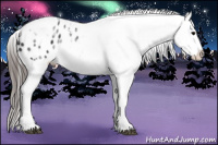 Horse Color:White Spotted Black Splash Tobiano Frame Appaloosa Rabicano