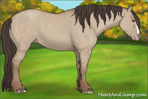 Horse Color: Classic Champagne Dun 