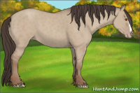 Horse Color:Classic Champagne Dun 