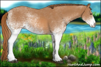 Horse Color:White Spotted Chestnut 