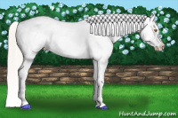 Horse Color:Silver Brown Pearl Dun Appaloosa Rabicano