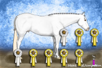 Horse Color:Buckskin Dun Sabino Near Leopard 