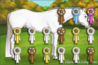 Horse Color:White Spotted Bay Appaloosa