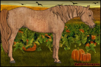 Horse Color:Chestnut Splash Frame  Brindle