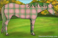 Horse Color:Watercolor Plaid  Buckskin 