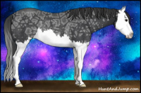 Horse Color:Black Ice Splash Rabicano 