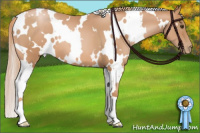 Horse Color:White Spotted Liver Chestnut Pearl 