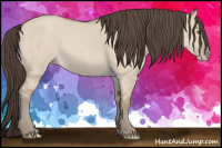Horse Color:Classic Champagne Dun 