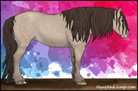 Horse Color:Classic Champagne Dun 
