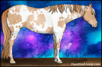 Horse Color:White Spotted Chestnut Pearl 