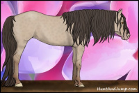 Horse Color:Classic Champagne Dun 