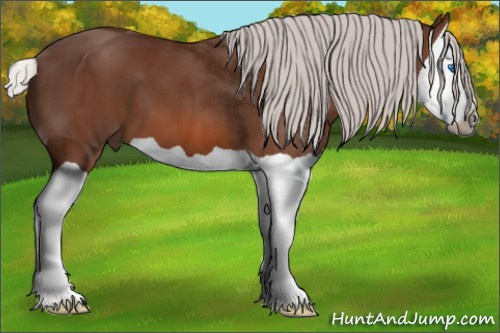 Horse Color: Silver Bay Splash 