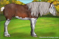 Horse Color:Silver Bay Splash 