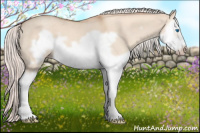 Horse Color:Silver Sable Champagne Dun Splash Frame 