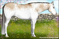 Horse Color:White Spotted Bay Dun