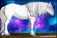 Horse Color:White Spotted Silver Brown Sabino Splash Frame Appaloosa