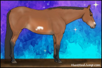 Horse Color:Bay Frame