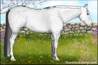 Horse Color:White Spotted Brown Rabicano 