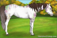 Horse Color:Liver Chestnut Ice Splash Frame