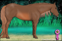Horse Color:Chestnut Frame