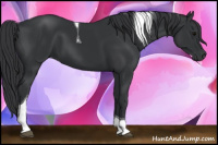 Horse Color:Black Tobiano 