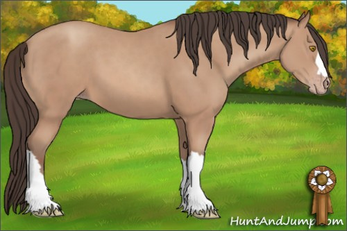 Horse Color: Amber Champagne 
