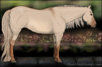 Horse Color:Liver Red Dun 