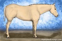 Horse Color:Palomino Frame 