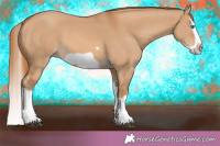 Horse Color:Red Dun Splash Frame 