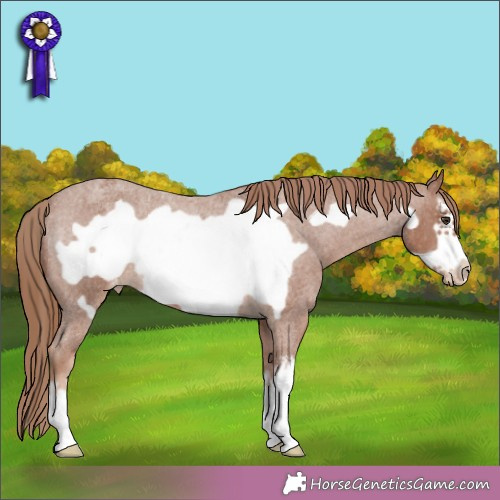 Horse Color:White Spotted Red Roan Frame Varnish 