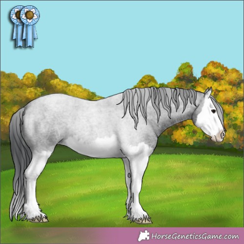 Horse Color:White Spotted Blue Roan Splash 