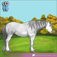 Horse Color:White Spotted Blue Roan Splash 
