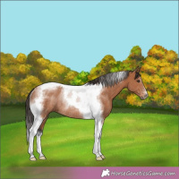 Horse Color:Brown Tobiano Rabicano