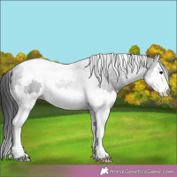 Horse Color:White Spotted Black Splash Tobiano 