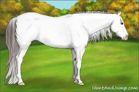 Horse Color:White Spotted Liver Red Dun Frame Blanket 