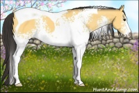 Horse Color:White Spotted Buckskin Tobiano 