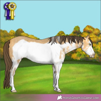Horse Color:White Spotted Amber Cream Champagne Frame 