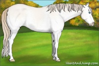 Horse Color:White Spotted Perlino Dun Sabino 