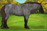 Horse Color:Midnight Liver Red Roan 