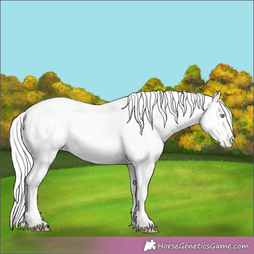 Horse Color:Gold Cream Champagne Pearl Dun Near Fewspot 