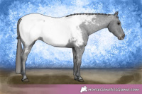 Horse Color:Black Fewspot 