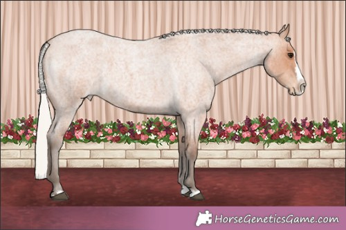 Horse Color:Silver Bay Roan Splash Varnish 