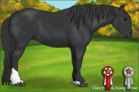 Horse Color:Black Tobiano Rabicano