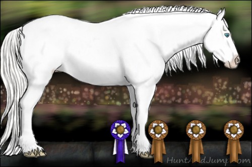 Horse Color: White Spotted Silver Buckskin Pearl Blanket 